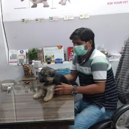 K9 pet clinic and pet Shop