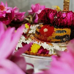 Kaal Sarp Puja Ujjain | काल सर्प पूजा उज्जैन