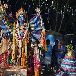Kaali Mata Mandir/ Temple, Adarsh Nagar, Nayagaon