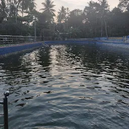 Kaavakkulam Pond Park