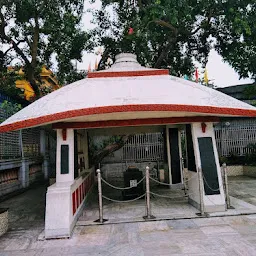 Kabiguru Rabindranath Tagore's Samadhi Memorial