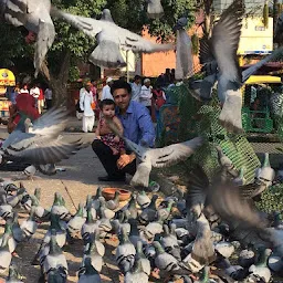 Kabootar Chowk, Connaught Place