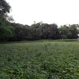 Kachari Park