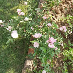 Kadam Garden Shivnagar