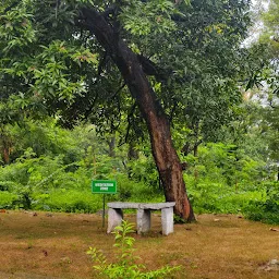 Kadma Biodiversity Park