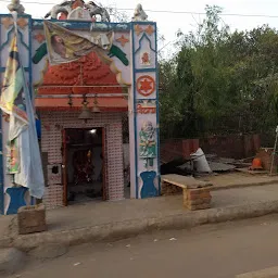 Kaila Devi Temple Gwalior