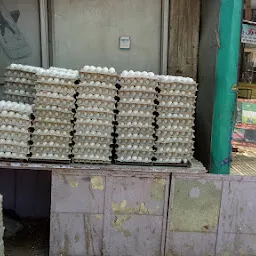 Kaka Chicken / Whole Sale Egg Shop