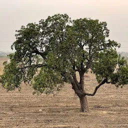 Kalbande Farm (Audumber)