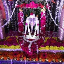 KALESHWAR DHAM (भैयाजी) आध्यात्मिक समाधान केंद्र(spiritual solution)