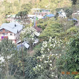 KALIMPONG TOURS