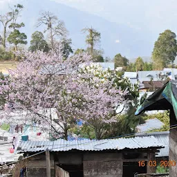 KALIMPONG TOURS