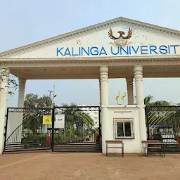 Kalinga University Raipur