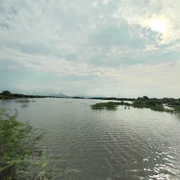 Kalinjur Lake, Fishing in Katpadi