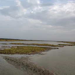 Kaliveli Lake