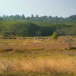 Kaliveli Lake