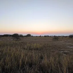 Kaliveli Lake