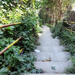 Kamakhya Gate Shani Mandir