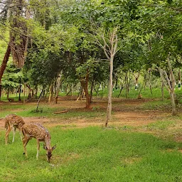 Kambalakonda Eco Park