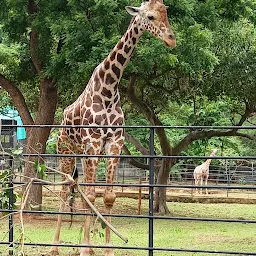 Kambalakonda Eco Tourism Park (Zoo)