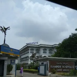 Kamineni Academy of Medical Sciences and Research Centre