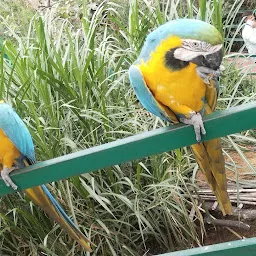 Kamla Nehru Prani Sangrahalaya (Indore Zoo)