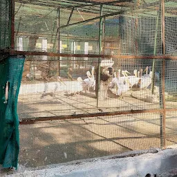 Kamla Nehru Zoo
