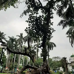 Kamla Park