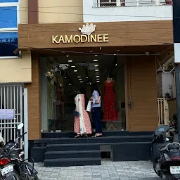 Kamodinee Jaipur - Premium Ethnic Wear for Women