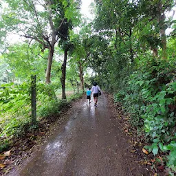 Kanchanpura village