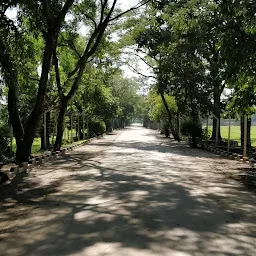 Kangla Herbal Garden