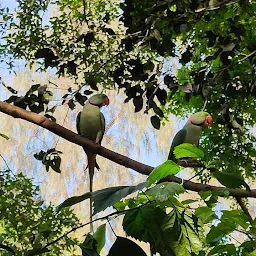 Karanji Lake - Park / Boating / Birds Sanctuary