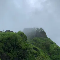 Karnala Bird Sanctuary