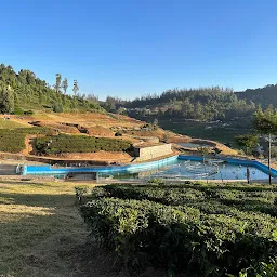 Karnataka garden ooty