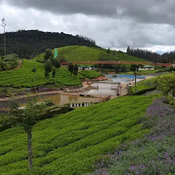 Karnataka garden ooty