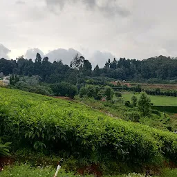 Karnataka Siri Horticulture Garden