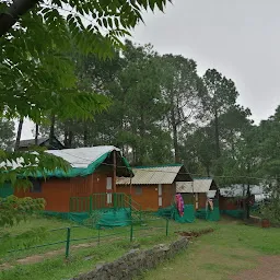 Kasauli Jungle Camp