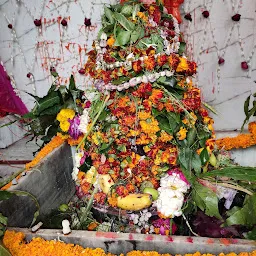 Kashi Vishwaeshwar Mahadev