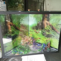 Kashish Aquariums & R.O. Systems