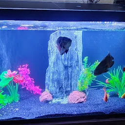 Kashish Aquariums & R.O. Systems