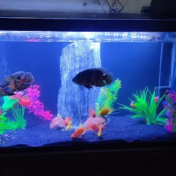 Kashish Aquariums & R.O. Systems