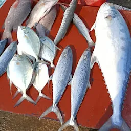 Kasimedu Fish Market