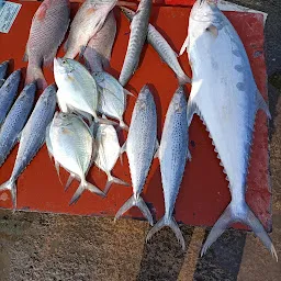 Kasimedu Fish Market