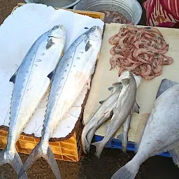 Kasimedu Fish Market