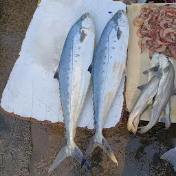 Kasimedu Fish Market