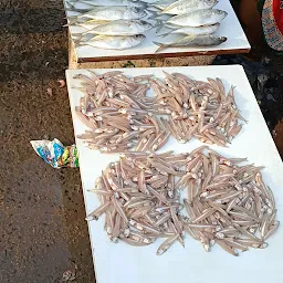 Kasimedu Fish Market