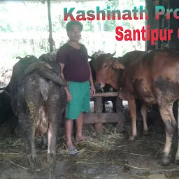 Kathalguri, Santipur Dairy Co-operative society