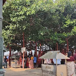 Kattil Mekkathil Devi Temple