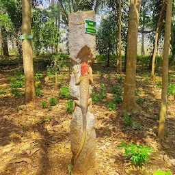 KAU Botanical Garden