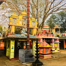 Kavanad Sreekrishna Swami Temple