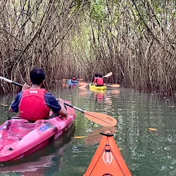 Kayak In Kerala
